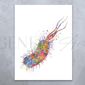 Impression d&#39;art aquarelle bactérie - peinture aquarelle E. Coli - art Escherichia colie - décor bactériophage - biologie art moléculaire AS9