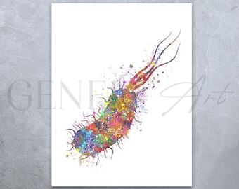 Bacterium E. Coli Watercolor Art Print: Biology Molecular Decor