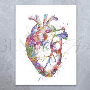 Heart Anatomy Watercolour Art Print - Cardiology Art - Heart Anatomy Prints - Cardiology Prints - Anatomy Art - Medical Art  AS38