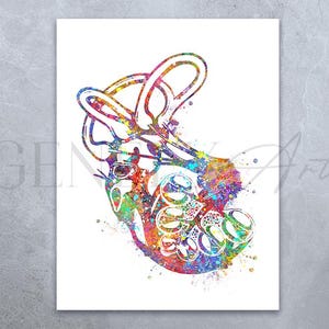 Ślimak ucha wewnętrznego Anatomia Akwarela Sztuka Wydruk - Ślimak Ucho Plakat - Audiologia Sztuka - Ślimak Plakat Ślimak Wydruki Audiologia Wydruk AS19