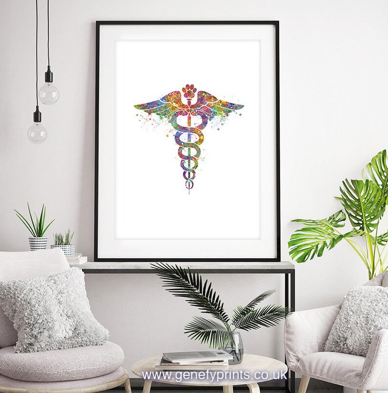Veterinary Caduceus Medical Symbol Watercolor Art Print Gift Etsy