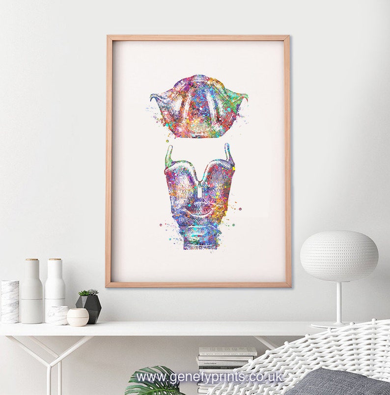 Larynx and Vocal Folds AS45 Speech Therapy Art Vocal Folds Print Vocal Box Print Larynx Watercolor Art Print Vocal Cord Print