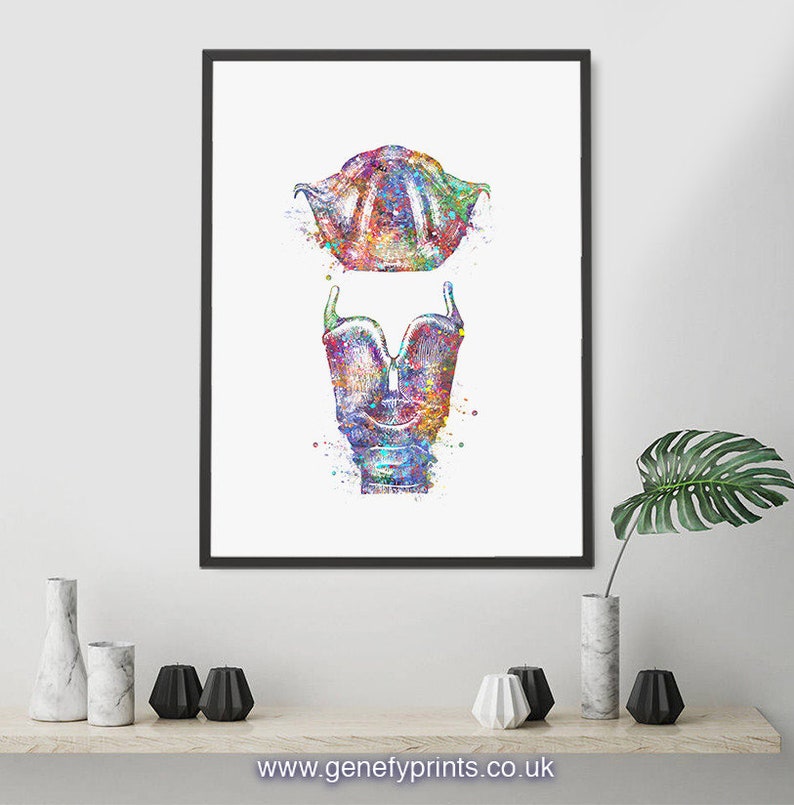 Larynx and Vocal Folds AS45 Speech Therapy Art Vocal Folds Print Vocal Box Print Larynx Watercolor Art Print Vocal Cord Print