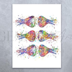 Brain Synapses Watercolour Art Print - Human Brain Art - Neurotransmitters Poster - Neuronal Receptors - Neuroscience Art AS12