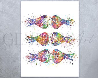 Gehirn Synapsen Aquarell Kunstdruck: Neurowissenschaftliches Poster