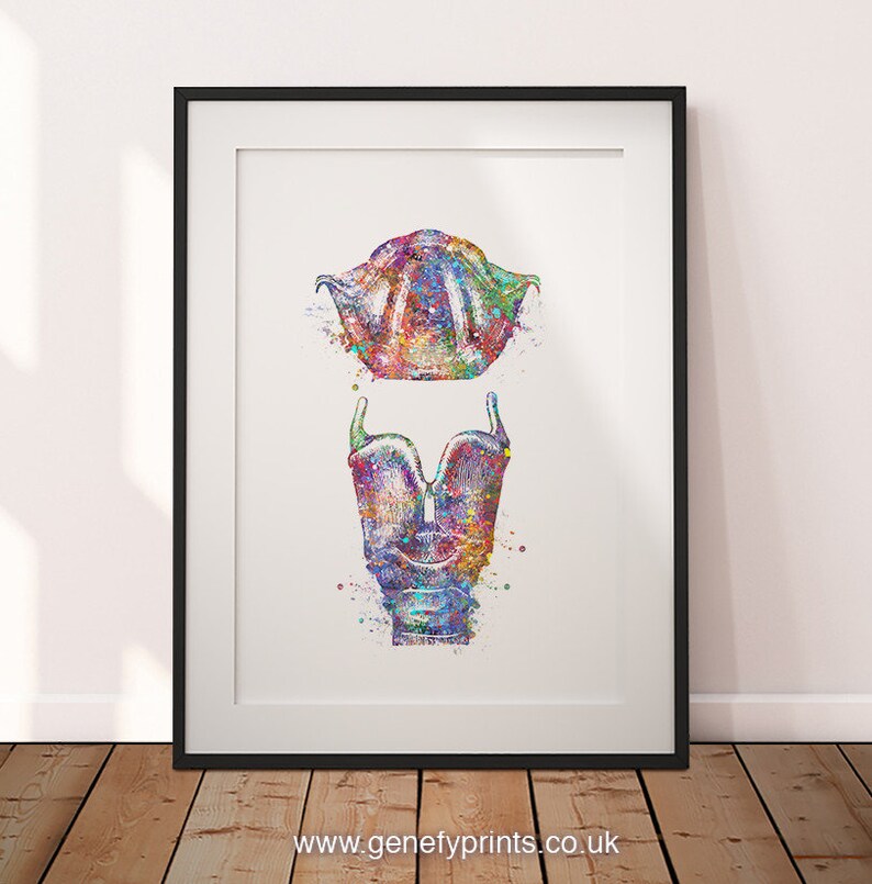 Larynx and Vocal Folds AS45 Speech Therapy Art Vocal Folds Print Vocal Box Print Larynx Watercolor Art Print Vocal Cord Print