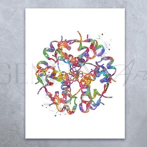 Insulin Structure Watercolor Art Print - Endocrinology Diabetes Prints - Insulin Hormone Prints - Gift for Endocrinologist AS43