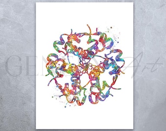 Stampa ad acquerello della struttura dell'insulina: arte endocrinologica