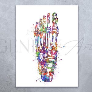 Foot Bones Watercolor Art Print - Osteology Prints - Osteology Watercolor Art - Skeletal Foot Bones Art - Orthopedic Gift Medical Gift AS32