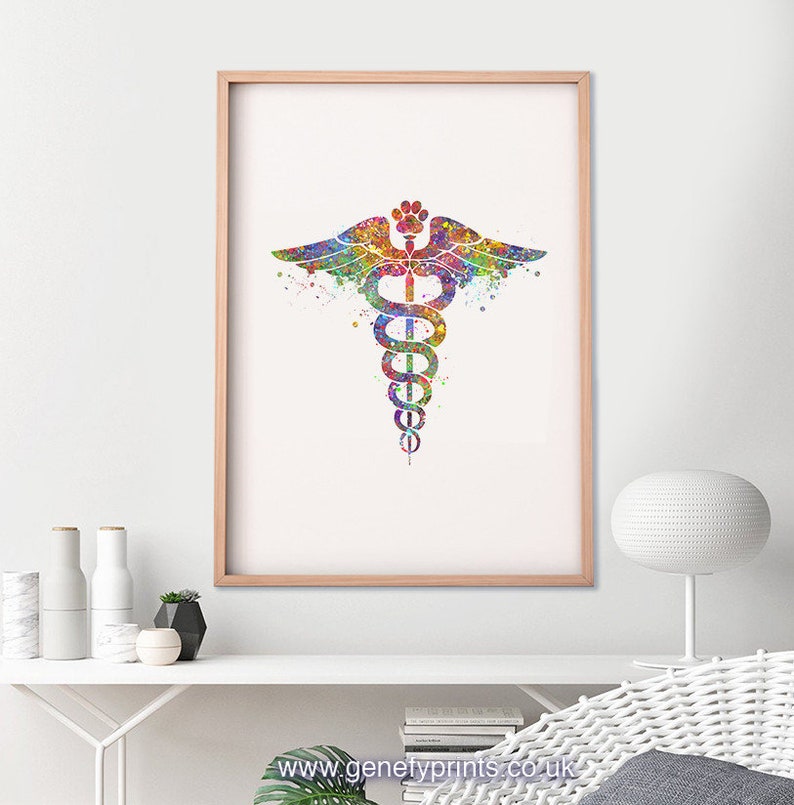 Veterinary Caduceus Medical Symbol Watercolor Art Print Gift Etsy
