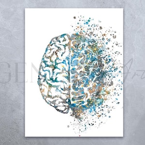 Brain Anatomy Watercolor Art Print - Brain Anatomy Print - Brain Anatomy Poster - Brain Abstract Art - Science Lab Decor
