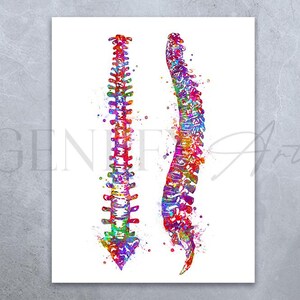 May include: Watercolor print of two human spines, one straight and one curved, showcasing a vibrant array of colors including red, blue, yellow, and green. The artwork is on a white background, with the text "GENIE Art" visible.
