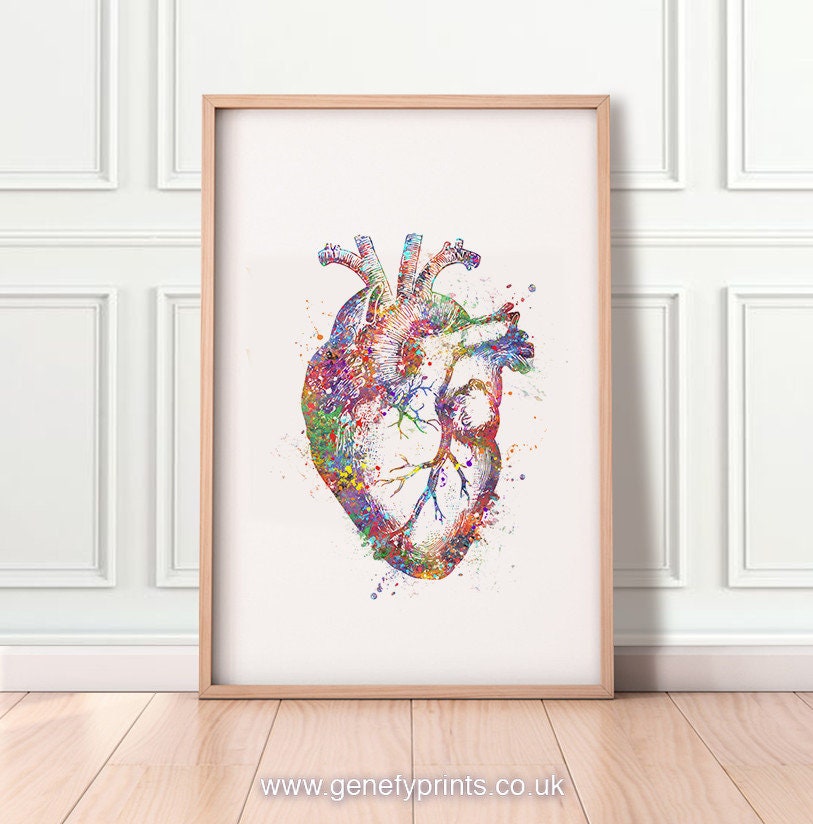 Heart Anatomy Watercolour Art Print Cardiology Art Heart | Etsy