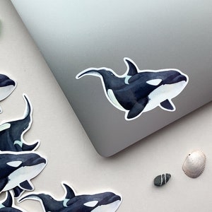 Orca Whale Glossy Vinyl Decal Sticker, Gift for Ocean Lover, Undersea Inspired Artwork