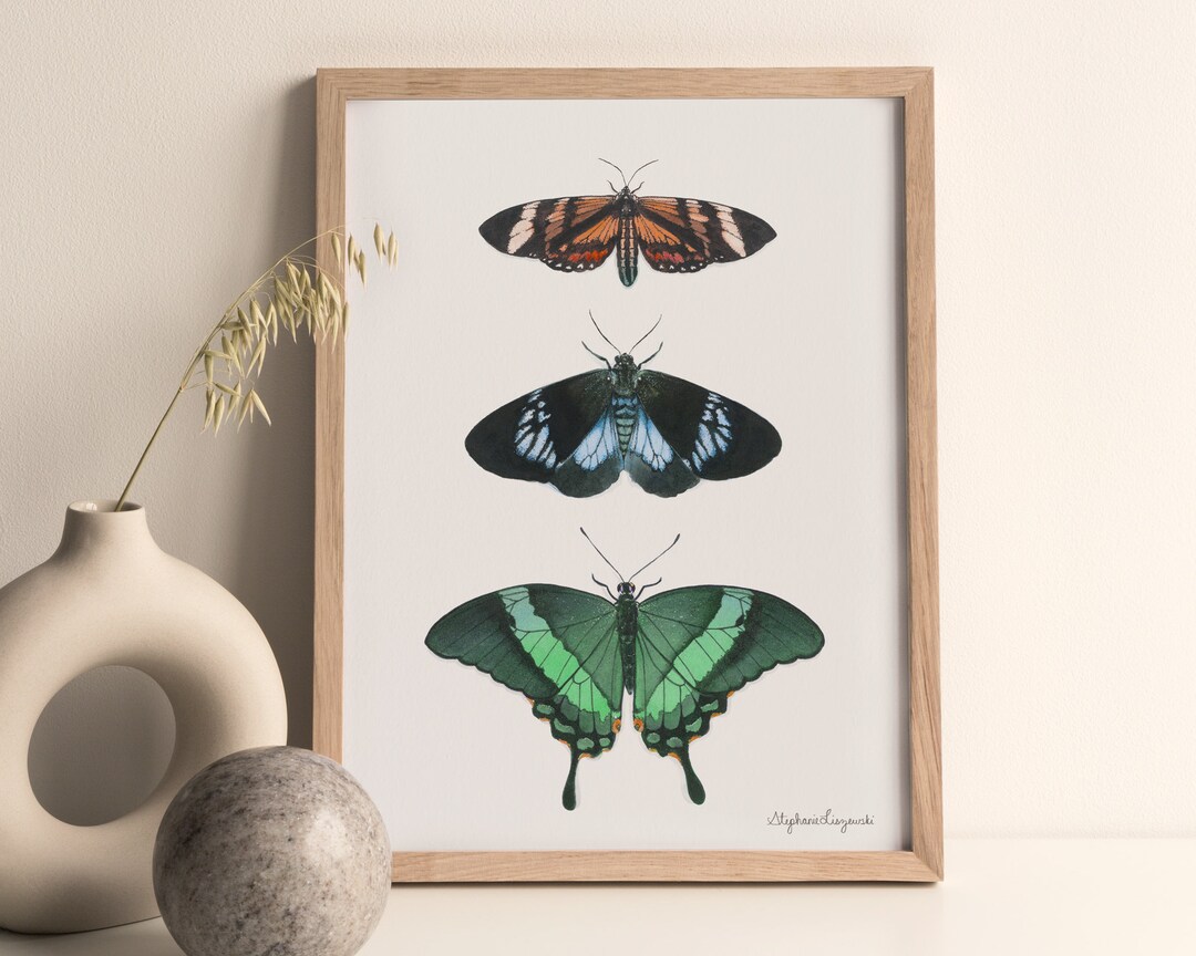 Set of 3 Butterfly Art