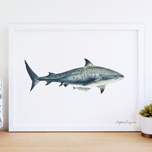 Tiger Shark Watercolor Print - 5&quot; x 7&quot; or 8&quot; x 10&quot;