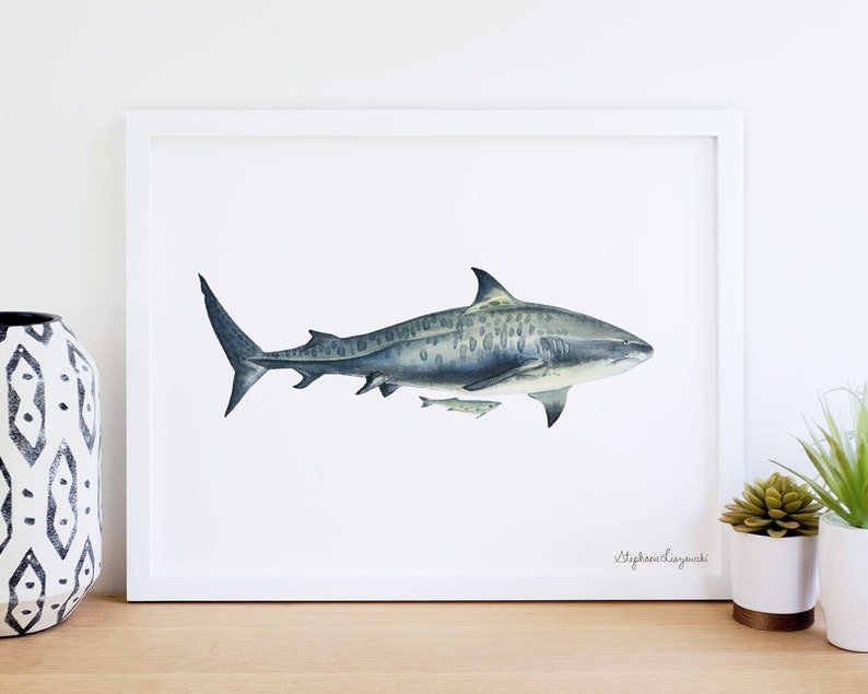 Tiger Shark Watercolor Print Giclee Art Print 5 X Etsy