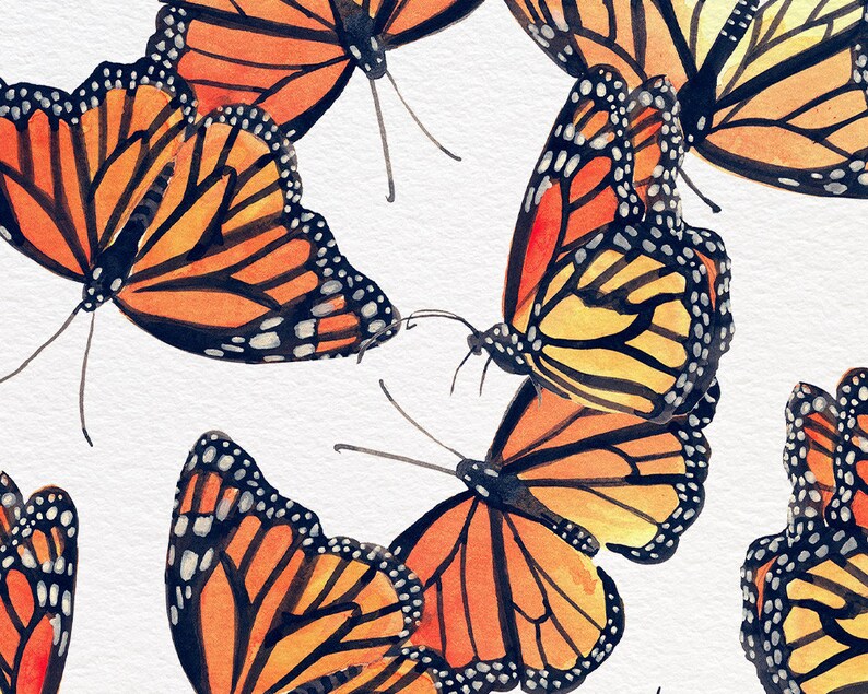 Monarch Pattern Watercolor Print bild 3