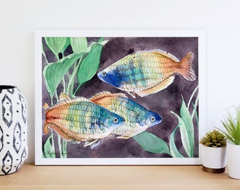 Boesemani Rainbowfish Watercolor Print - Giclee Art Print -5" x 7" or 8" x 10" - Watercolor Painting