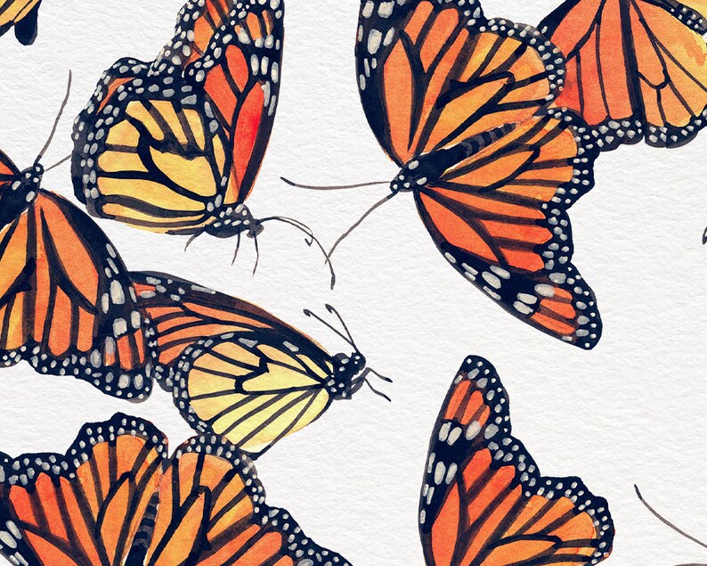 Monarch Pattern Watercolor Print bild 2