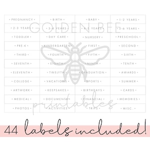 May include: A set of 44 printable labels with a bee design. The labels are organized into columns with categories such as pregnancy, birth, baby, 1-2 years, 2-3 years, 3-4 years, 5-6 years, toddler, day care, nursery, preschool, pre-k, kindergarten, first, second, third, fourth, fifth, sixth, seventh, eighth, ninth, tenth, eleventh, twelfth, graduation, awards, college, vacations, sports, summer, artwork, keepsakes, birthdays, cards, medical, documents, financial, memories, photos, activities, trips, and misc.