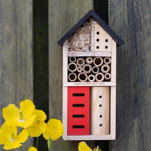 May include: A wooden insect hotel with a black roof, featuring multiple compartments for insects. The hotel includes bamboo tubes, a red section, and a wire mesh area. The text "DADDY & OLIVER'S INSECT HOTEL" is printed on the front.