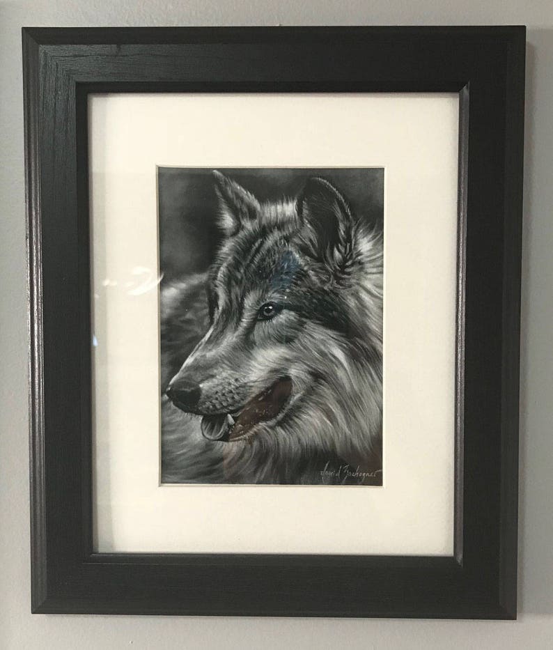 Wolf Study Art print
