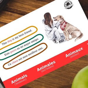 Learn English Spanish French - Trilingual Flashcards - 15 Animals