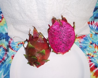 GEOPONICS Rare Red Dwarf Dragon Fruit-Pitaya Well Rooted Plants Rare Ready to Grow
