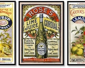 Lemon Lime Fruit Syrup Ads Vintage Ads Set of 3 Art Prints Old Kitchen Beverage Drink Illustrations