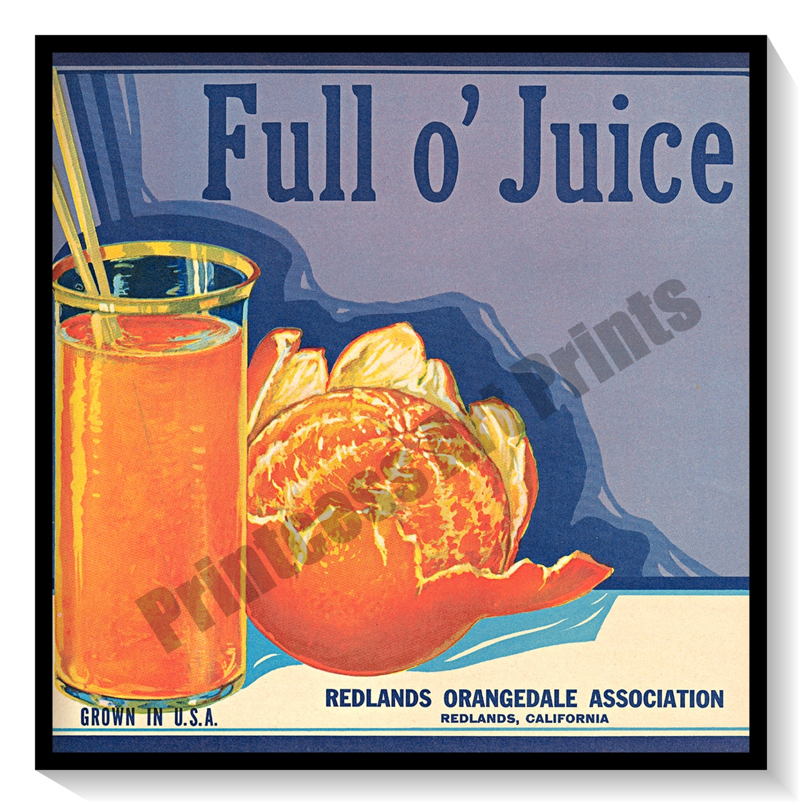 Vintage Orange Crate Labels Set of 6 Art Prints Oranges Citrus Fruit