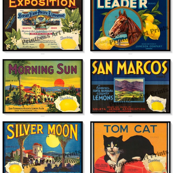 Vintage Lemon Crate Labels Set of 6 Art Prints Lemons Citrus Fruit