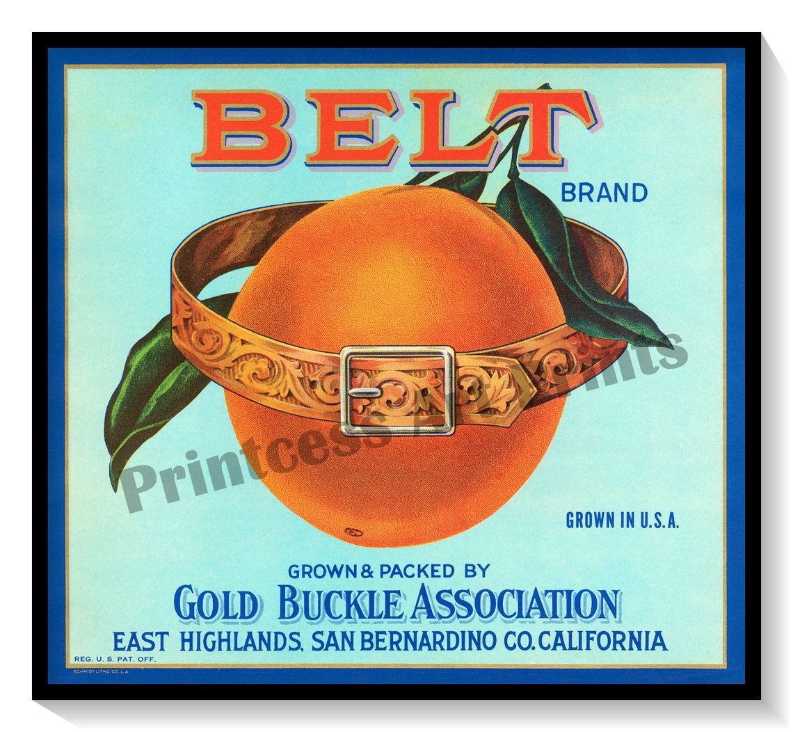 Vintage Orange Crate Labels Set of 6 Art Prints Oranges Citrus - Etsy