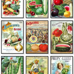 Vegetable Vintage Seed Catalogue Covers Set of 9 Art Prints Peas Beans Melons Onions