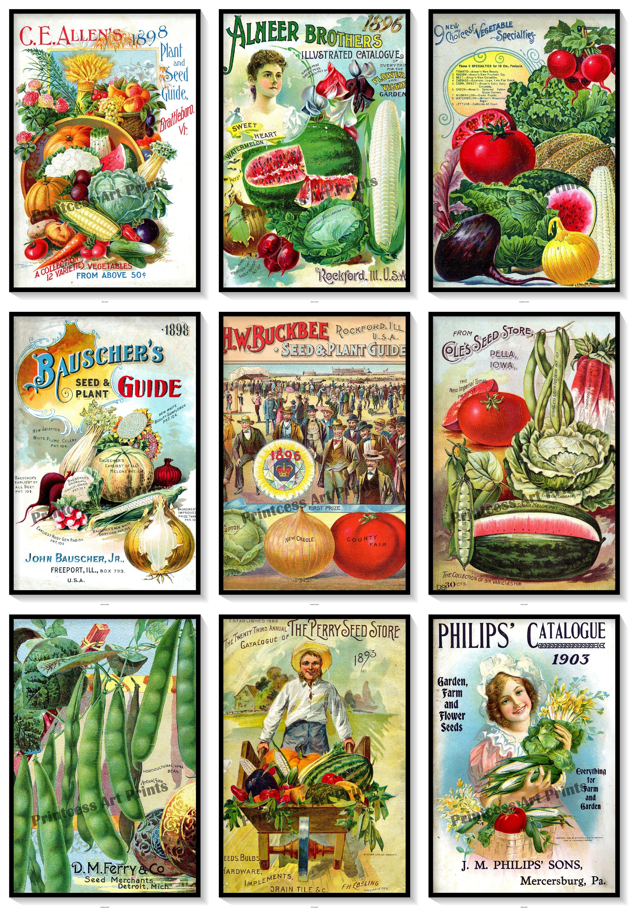 Vegetable Vintage Seed Catalogue Covers Set of 9 Art Prints Peas 