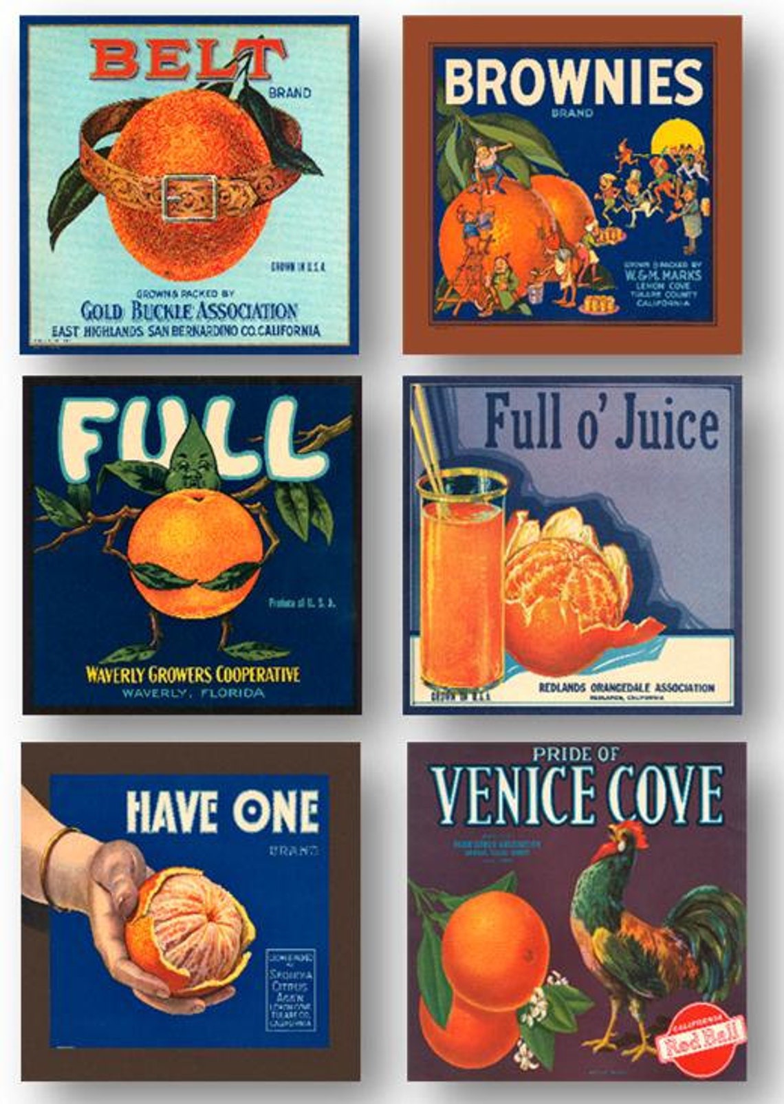 Vintage Orange Crate Labels Set of 6 Art Prints Oranges Citrus | Etsy