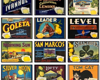 Set of 12 Prints Vintage Sunkist Lemon Crate Labels  Lemons Citrus