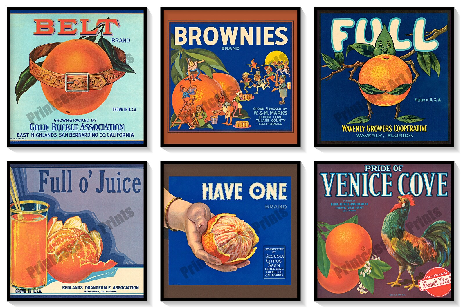 Vintage Orange Crate Labels Set of 6 Art Prints Oranges Citrus Fruit
