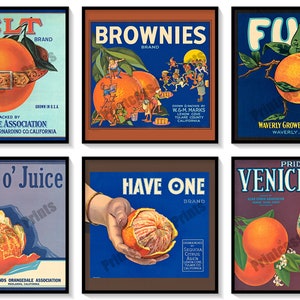 Vintage Orange Crate Labels Set of 6 Art Prints Oranges Citrus Fruit California