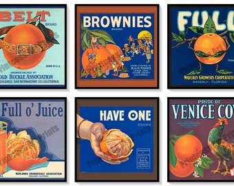 Vintage Orange Crate Labels Set of 6 Art Prints Oranges Citrus Fruit California