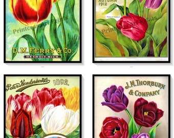 Vintage Tulip Art Prints, Seed Catalogue Cover Set of 4