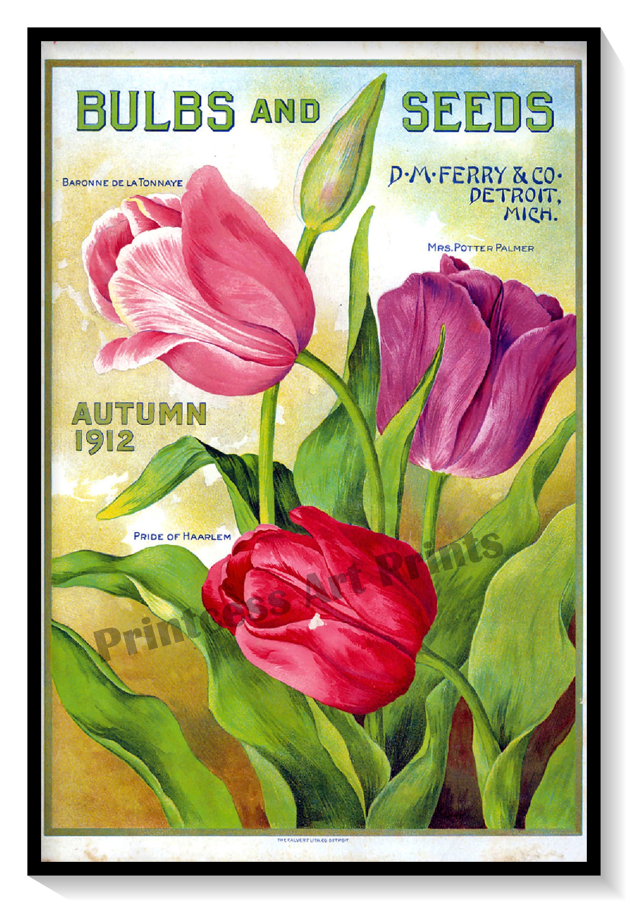 TULIPページ Vintage Seed Catalogue Covers Tulip Bulbs Set of 4 Art
