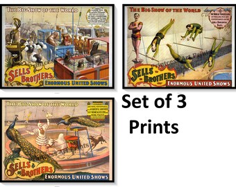 Sells Brothers United Shows - Juego de 3 impresiones de carteles de circo vintage