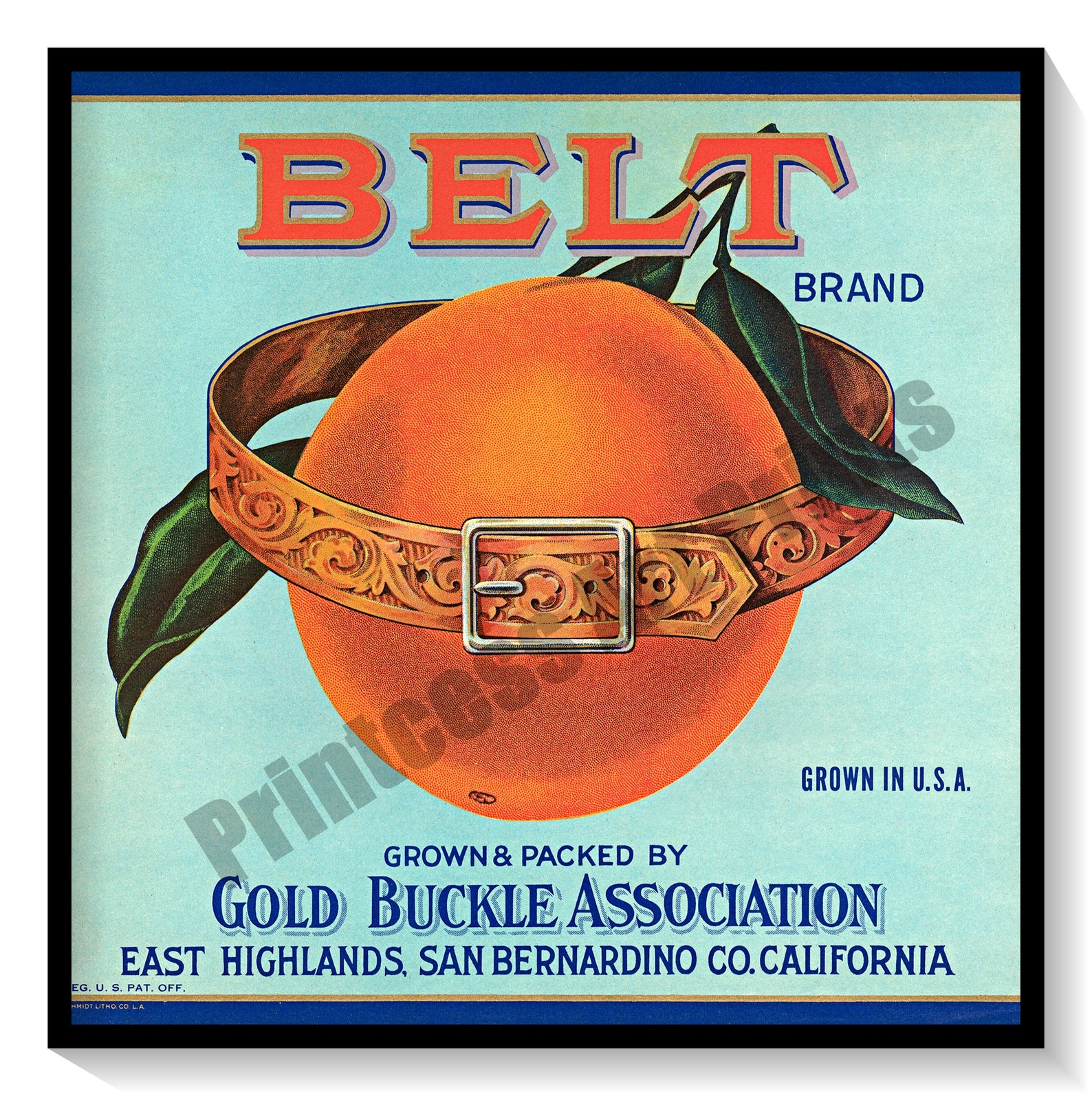 Vintage Orange Crate Labels Set of 6 Art Prints Oranges Citrus Fruit