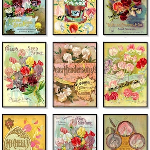 Set van 9 Sweet Peas Vintage Flower Seed Catalog Covers Art Prints