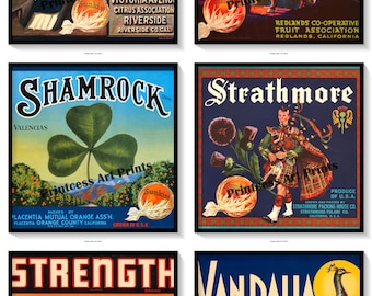 Vintage Sunkist Orange Crate Labels Set of 6 Art Prints Oranges Citrus Fruit