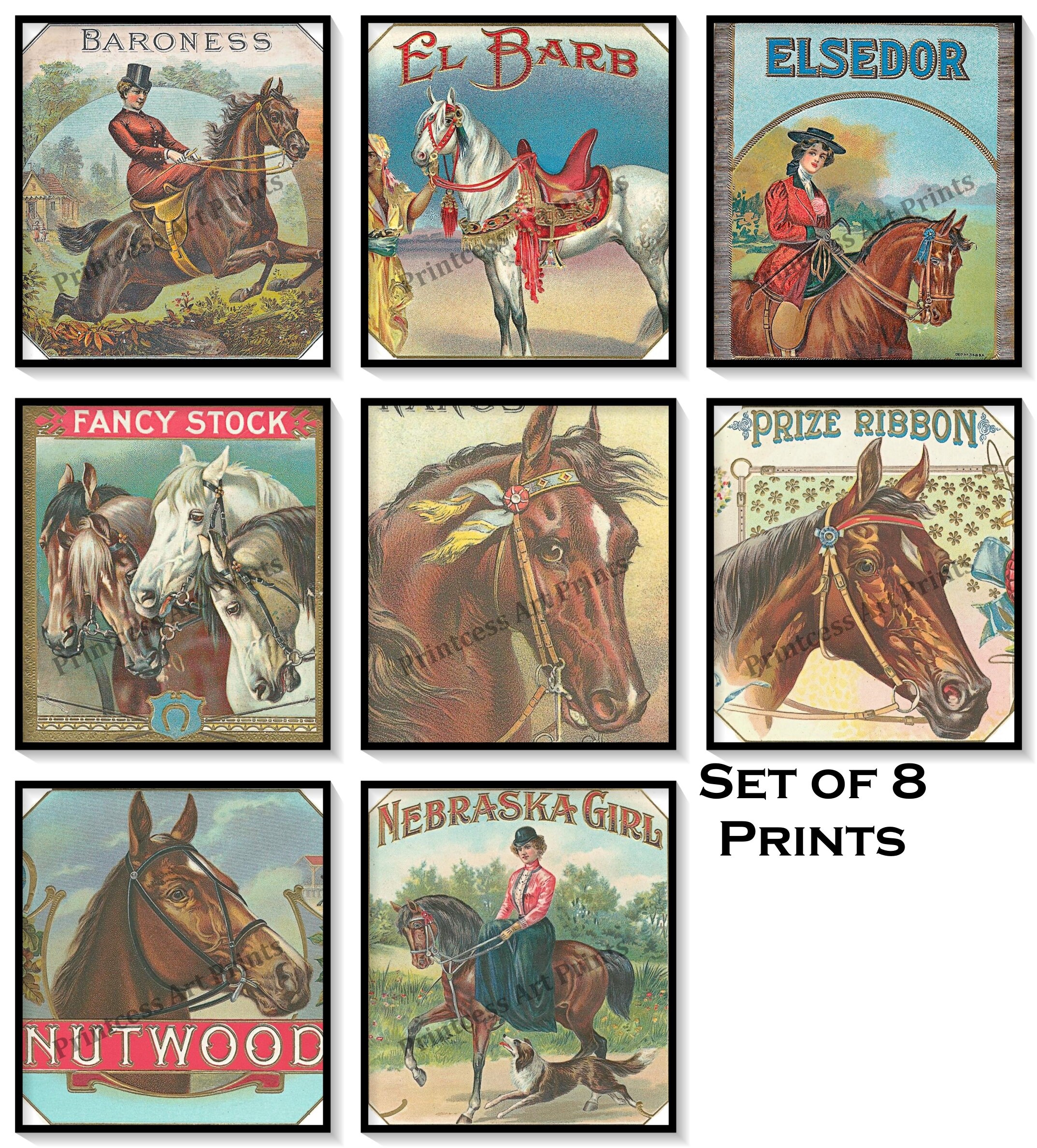 Vintage Antique Cigar Labels Set of 8 Art Prints Horses, Pony, Prize Winners, Horse Illustrations