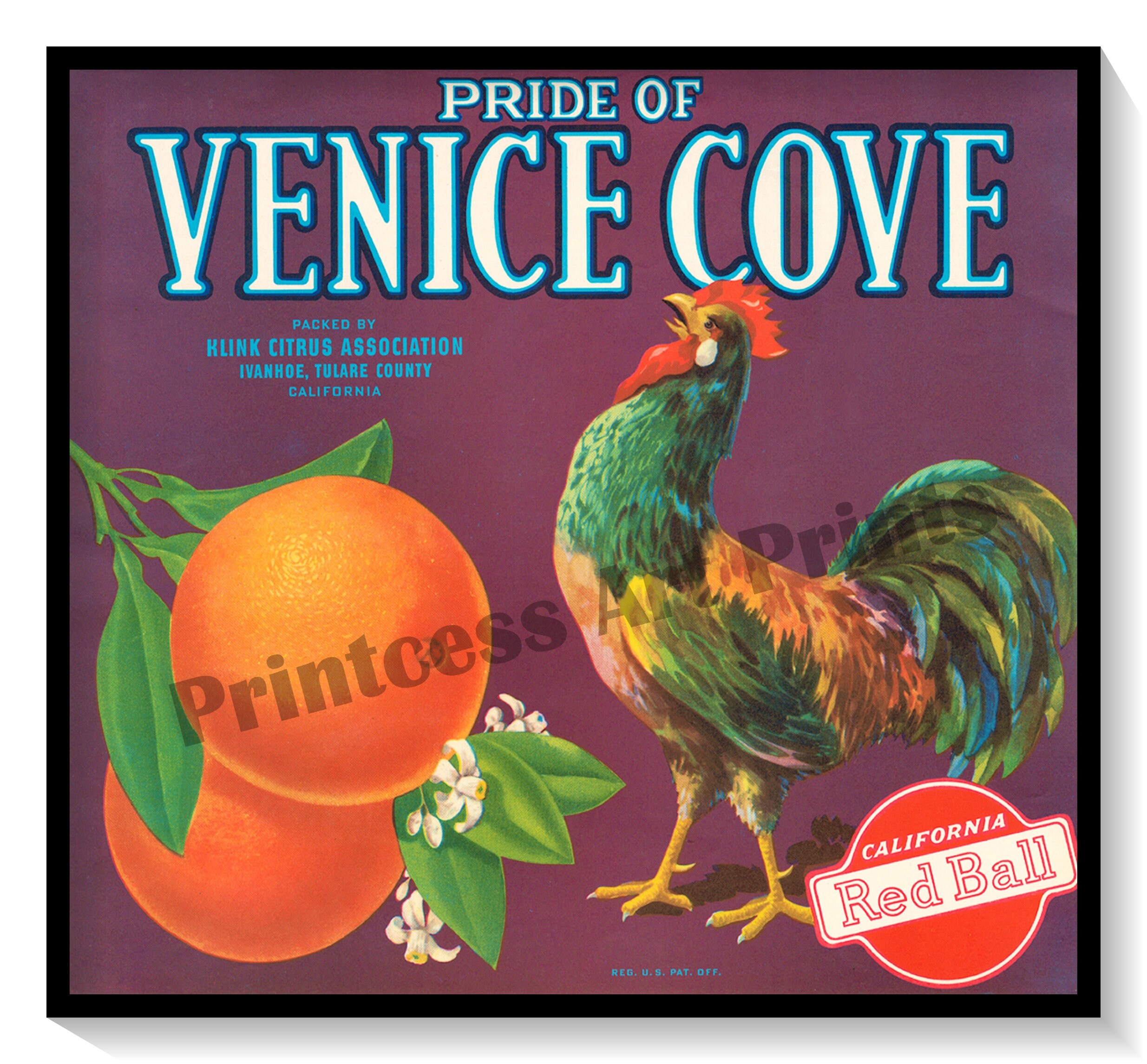 Vintage Orange Crate Labels Set of 6 Art Prints Oranges Citrus - Etsy