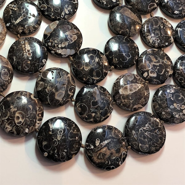 Large puff coin shaped Turritella Agate on 15" strand. Sizes range from 23 - 36mm in diameter. Beautiful AA/AAA grade patterned Agate.