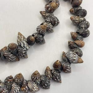 May include: A necklace made of small, natural seashells. The shells are primarily brown, tan, and white, with a speckled pattern. The necklace is strung together, creating a unique and organic accessory.